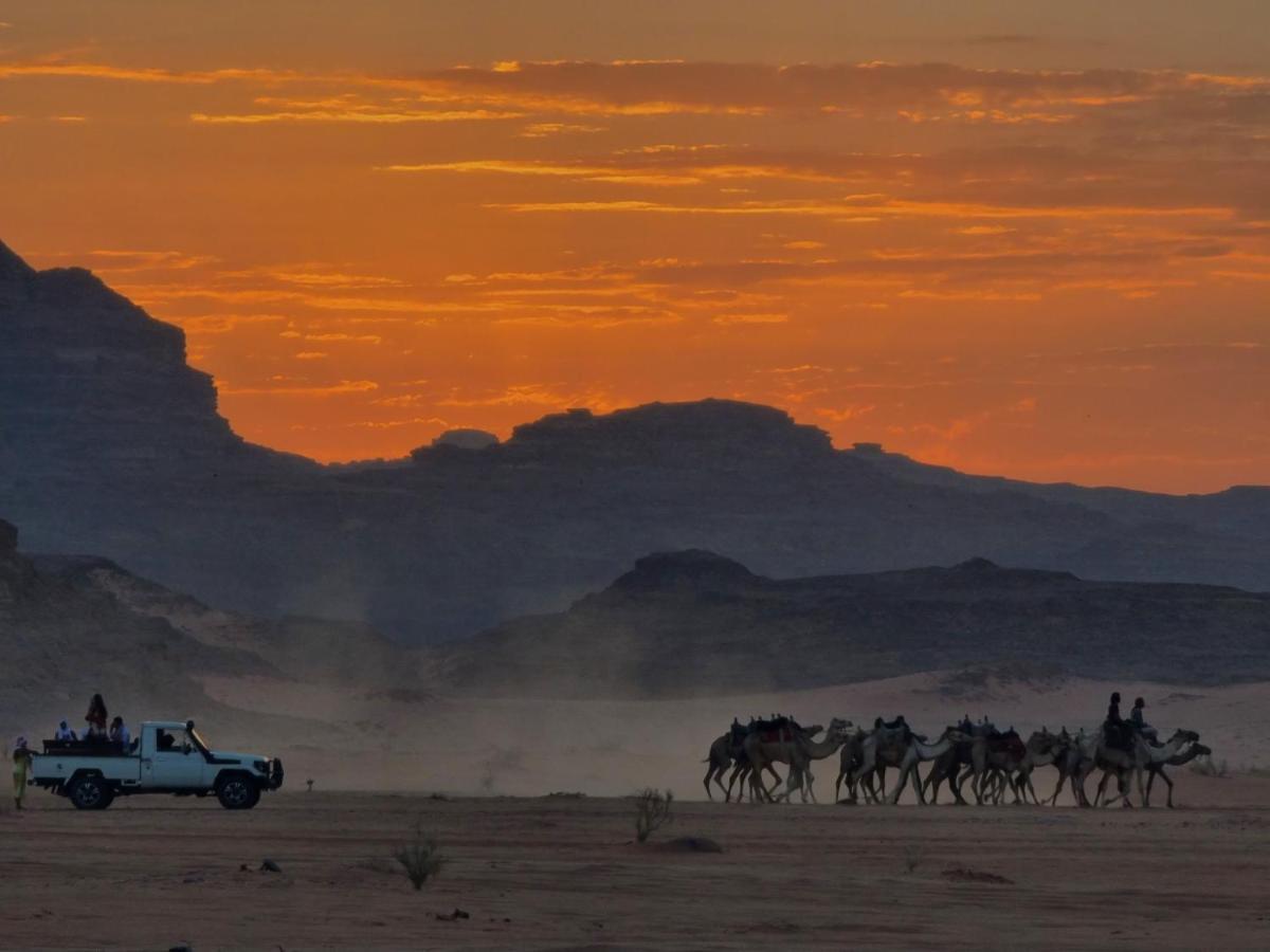 Desert Knights Camp Hotel Wadi Rum Exterior foto