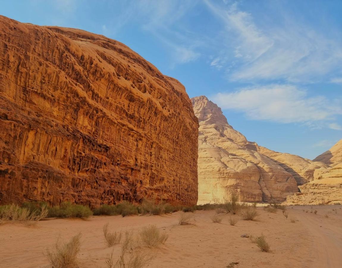 Desert Knights Camp Hotel Wadi Rum Exterior foto