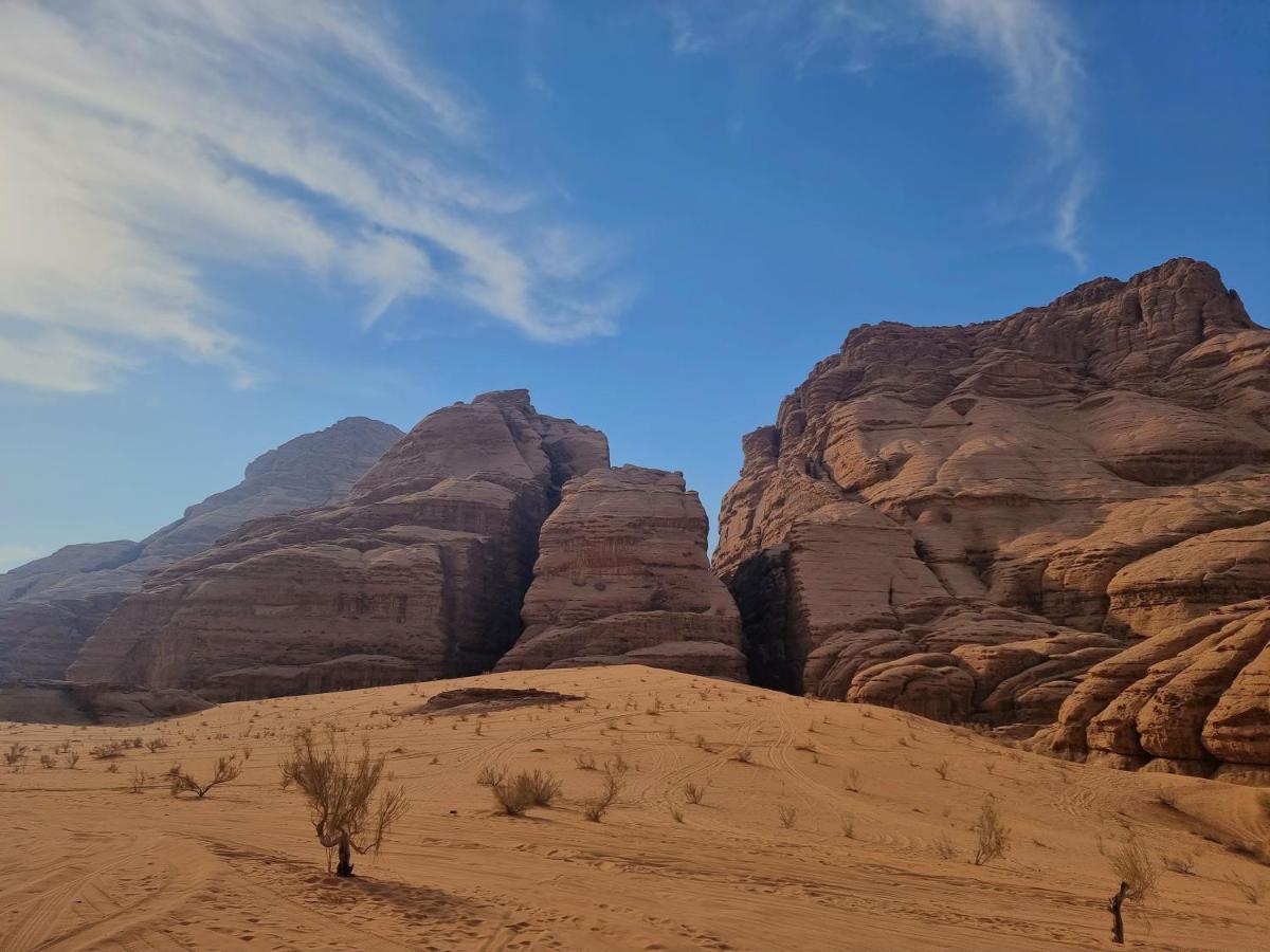 Desert Knights Camp Hotel Wadi Rum Exterior foto