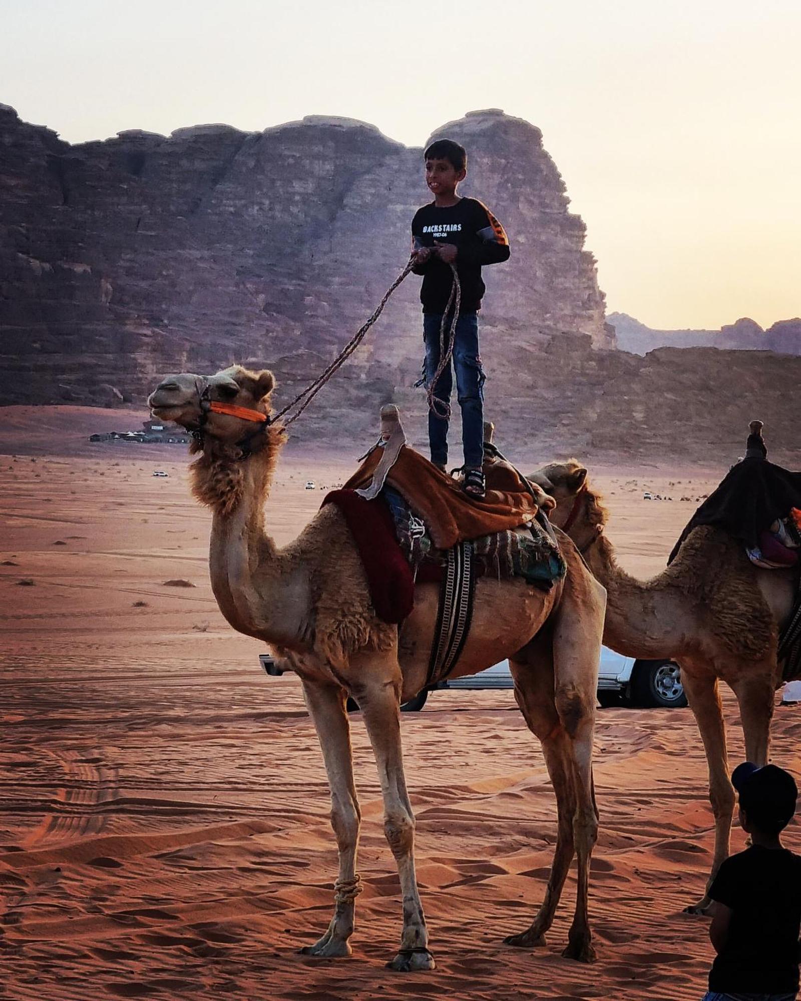 Desert Knights Camp Hotel Wadi Rum Exterior foto