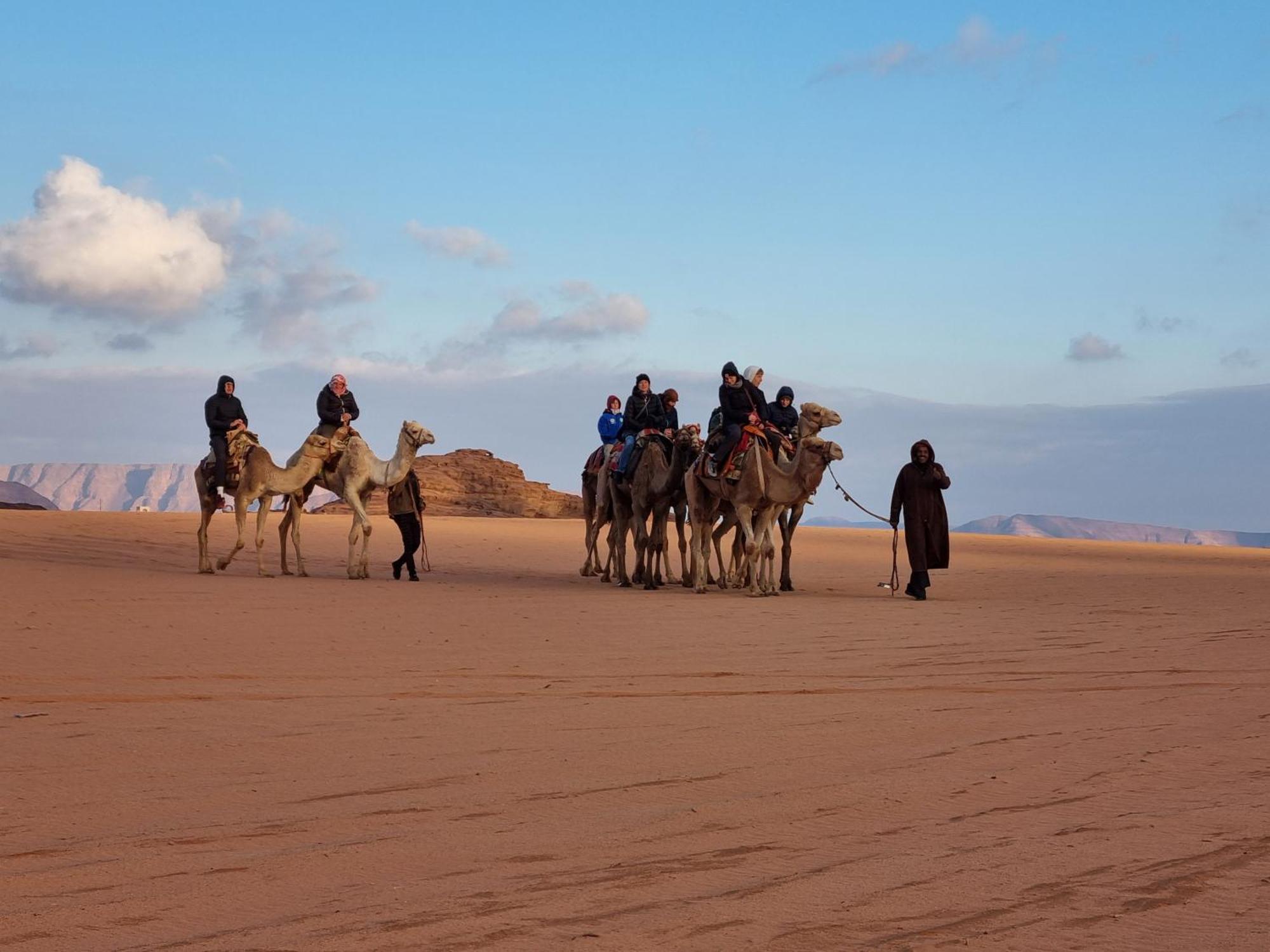 Desert Knights Camp Hotel Wadi Rum Exterior foto